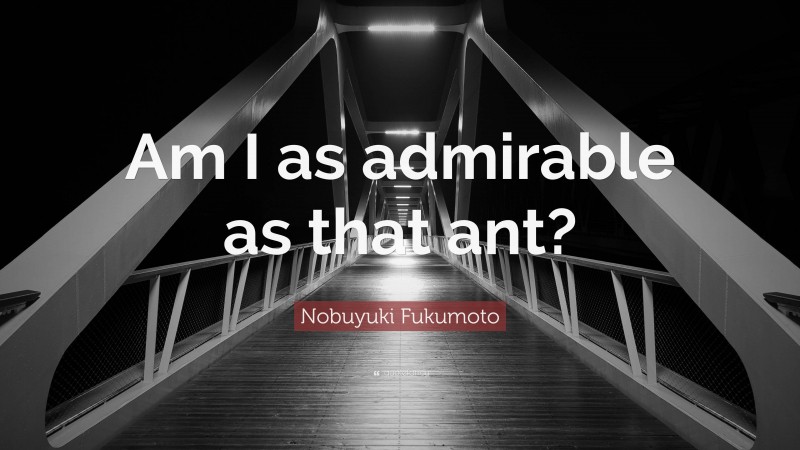 Nobuyuki Fukumoto Quote: “Am I as admirable as that ant?”