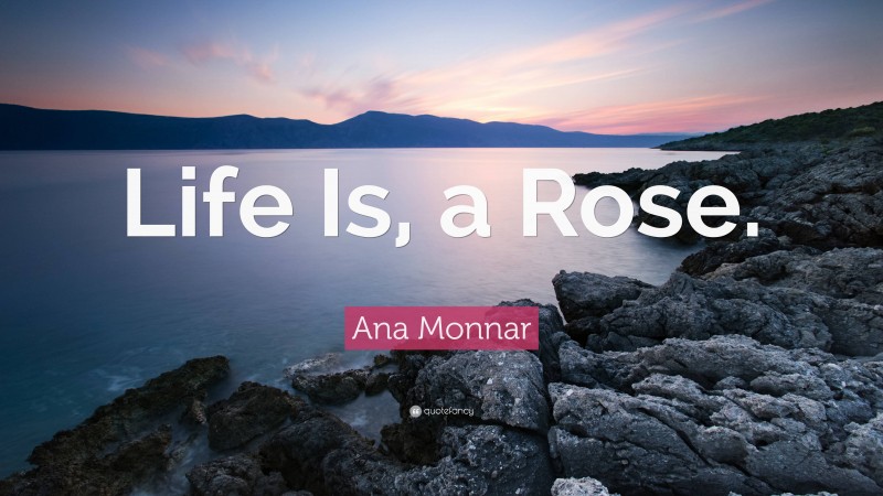 Ana Monnar Quote: “Life Is, a Rose.”