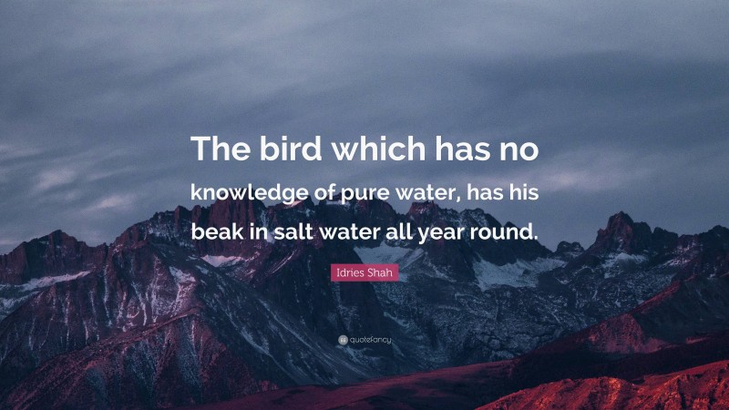 Idries Shah Quote: “The bird which has no knowledge of pure water, has his beak in salt water all year round.”