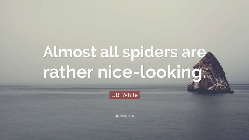 E.B. White Quote: “Almost all spiders are rather nice-looking.”
