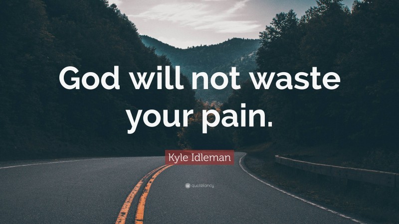 Kyle Idleman Quote: “God will not waste your pain.”
