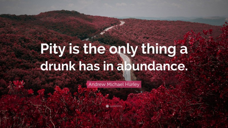 Andrew Michael Hurley Quote: “Pity is the only thing a drunk has in abundance.”