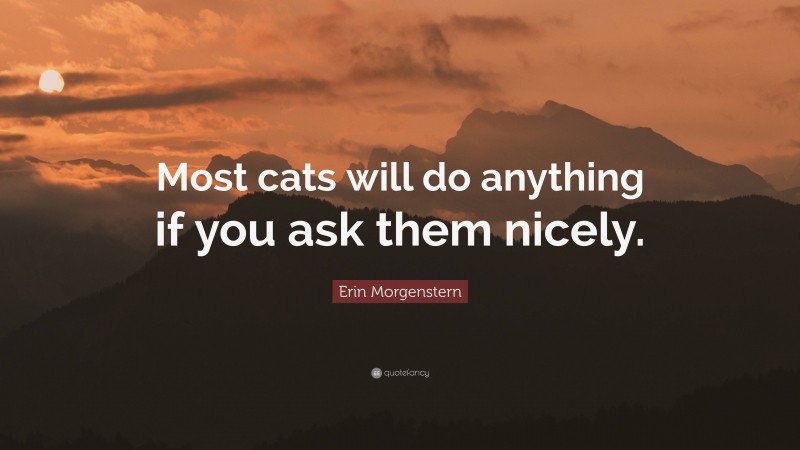 Erin Morgenstern Quote: “Most cats will do anything if you ask them nicely.”