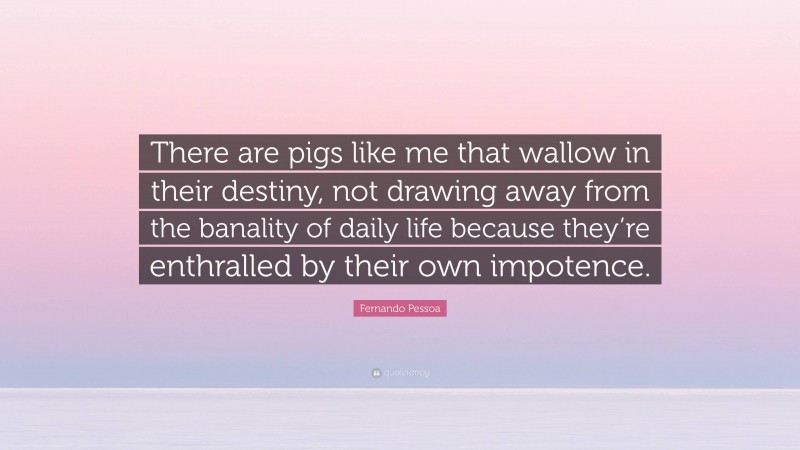 Fernando Pessoa Quote: “There are pigs like me that wallow in their destiny, not drawing away from the banality of daily life because they’re enthralled by their own impotence.”