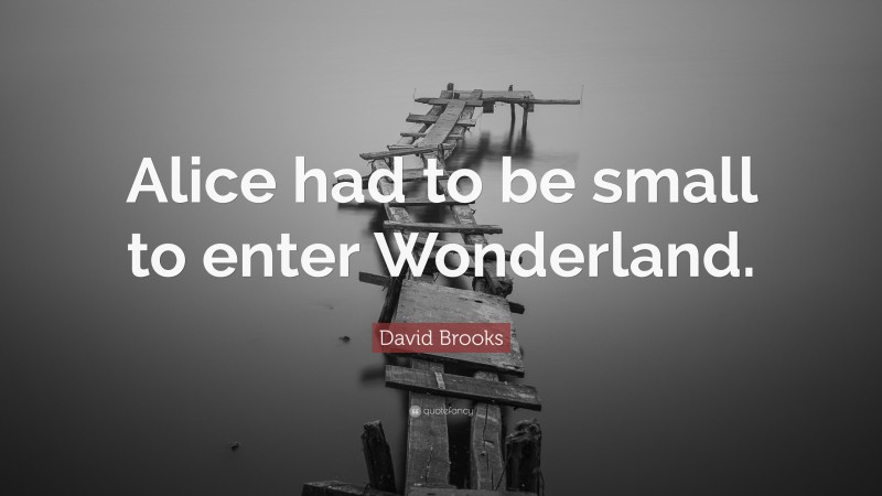 David Brooks Quote: “Alice had to be small to enter Wonderland.”
