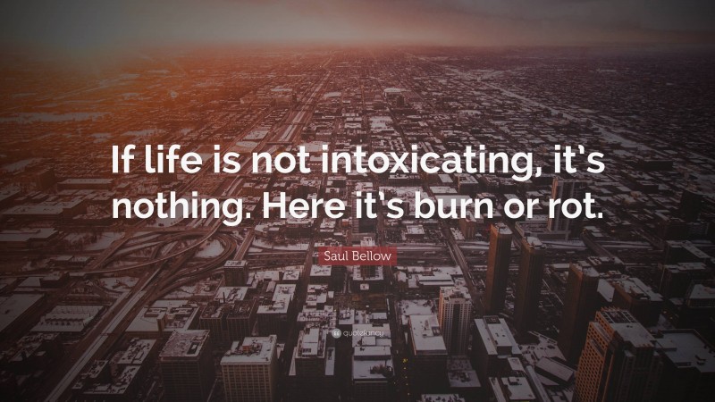 Saul Bellow Quote: “If life is not intoxicating, it’s nothing. Here it’s burn or rot.”