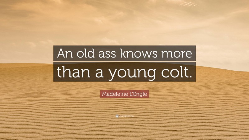 Madeleine L'Engle Quote: “An old ass knows more than a young colt.”