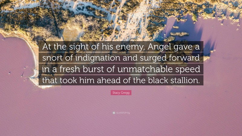 Stacy Gregg Quote: “At the sight of his enemy, Angel gave a snort of indignation and surged forward in a fresh burst of unmatchable speed that took him ahead of the black stallion.”