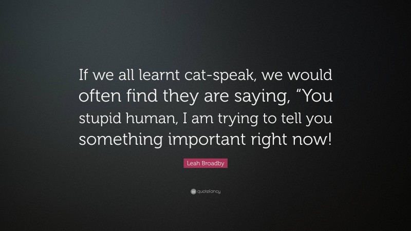 Leah Broadby Quote: “If we all learnt cat-speak, we would often find they are saying, “You stupid human, I am trying to tell you something important right now!”