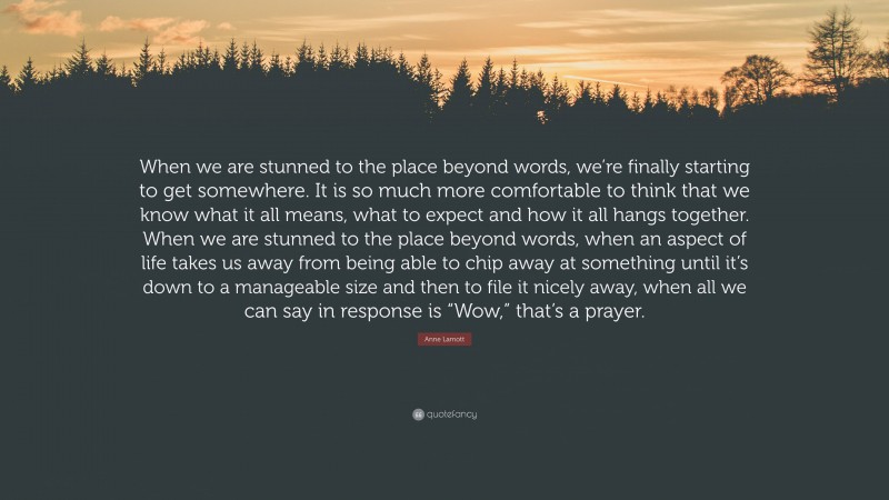 Anne Lamott Quote: “When we are stunned to the place beyond words, we’re finally starting to get somewhere. It is so much more comfortable to think that we know what it all means, what to expect and how it all hangs together. When we are stunned to the place beyond words, when an aspect of life takes us away from being able to chip away at something until it’s down to a manageable size and then to file it nicely away, when all we can say in response is “Wow,” that’s a prayer.”