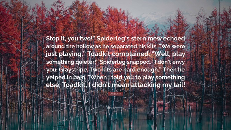 Erin Hunter Quote: “Stop it, you two!” Spiderleg’s stern mew echoed around the hollow as he separated his kits. “We were just playing,” Toadkit complained. “Well, play something quieter!” Spiderleg snapped. “I don’t envy you, Graystripe. Two kits are hard enough.” Then he yelped in pain. “When I told you to play something else, Toadkit, I didn’t mean attacking my tail!”