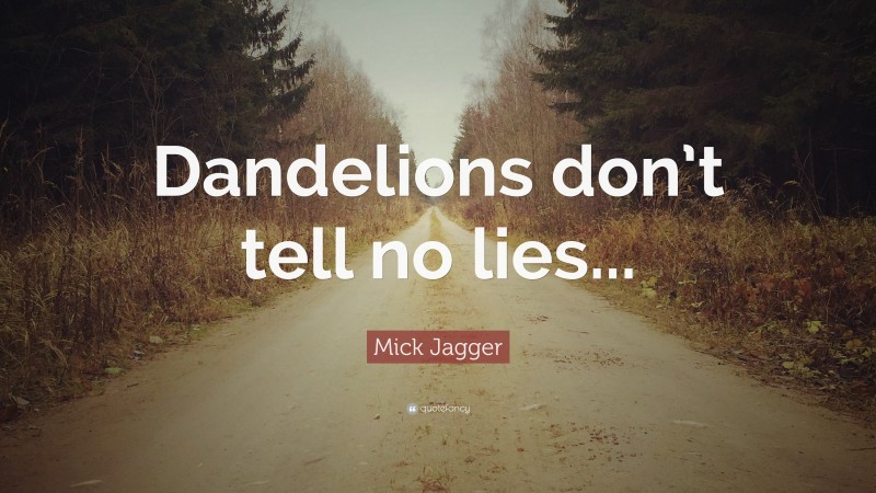 Mick Jagger Quote: “Dandelions don’t tell no lies...”