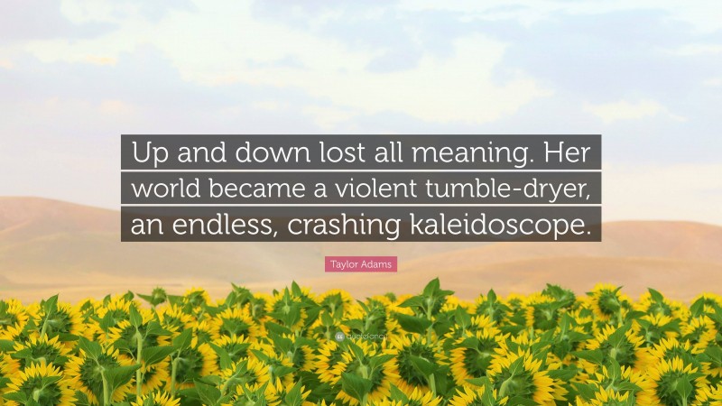 Taylor Adams Quote: “Up and down lost all meaning. Her world became a violent tumble-dryer, an endless, crashing kaleidoscope.”