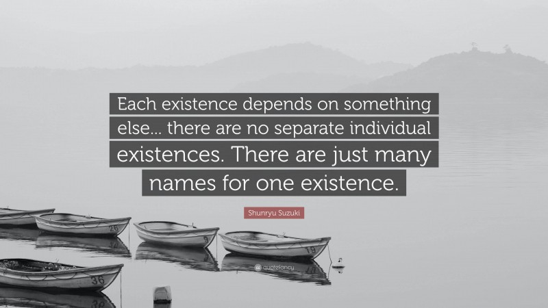 Shunryu Suzuki Quote: “Each existence depends on something else... there are no separate individual existences. There are just many names for one existence.”