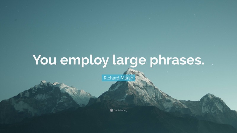 Richard Marsh Quote: “You employ large phrases.”