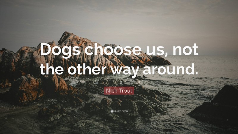 Nick Trout Quote: “Dogs choose us, not the other way around.”