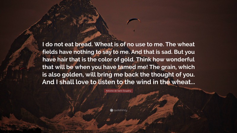 Antoine de Saint-Exupéry Quote: “I do not eat bread. Wheat is of no use to me. The wheat fields have nothing to say to me. And that is sad. But you have hair that is the color of gold. Think how wonderful that will be when you have tamed me! The grain, which is also golden, will bring me back the thought of you. And I shall love to listen to the wind in the wheat...”