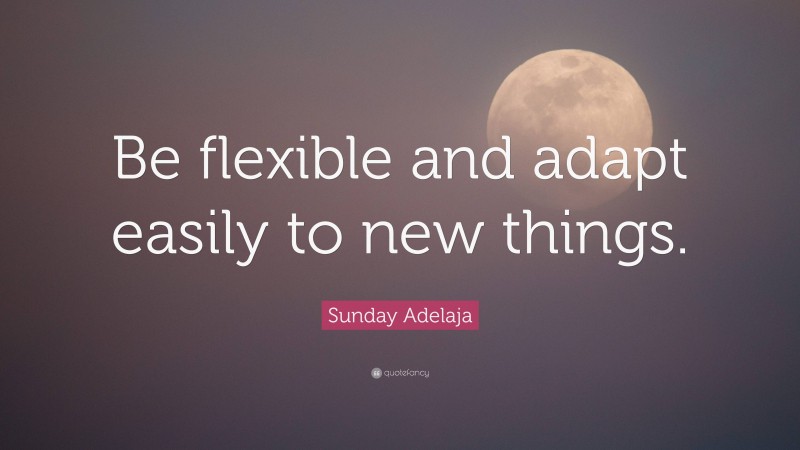 Sunday Adelaja Quote: “Be flexible and adapt easily to new things.”