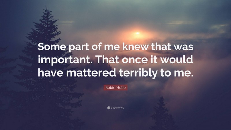 Robin Hobb Quote: “Some part of me knew that was important. That once it would have mattered terribly to me.”