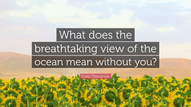 Craig Thompson Quote: “What does the breathtaking view of the ocean mean without you?”