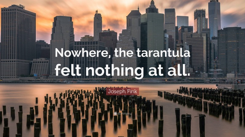 Joseph Fink Quote: “Nowhere, the tarantula felt nothing at all.”