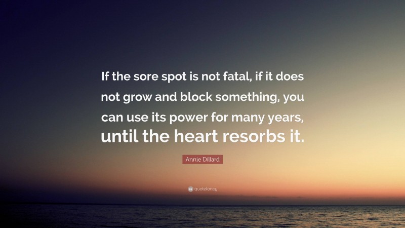 Annie Dillard Quote: “If the sore spot is not fatal, if it does not grow and block something, you can use its power for many years, until the heart resorbs it.”