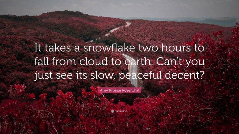 Amy Krouse Rosenthal Quote: “It takes a snowflake two hours to fall from cloud to earth. Can’t you just see its slow, peaceful decent?”