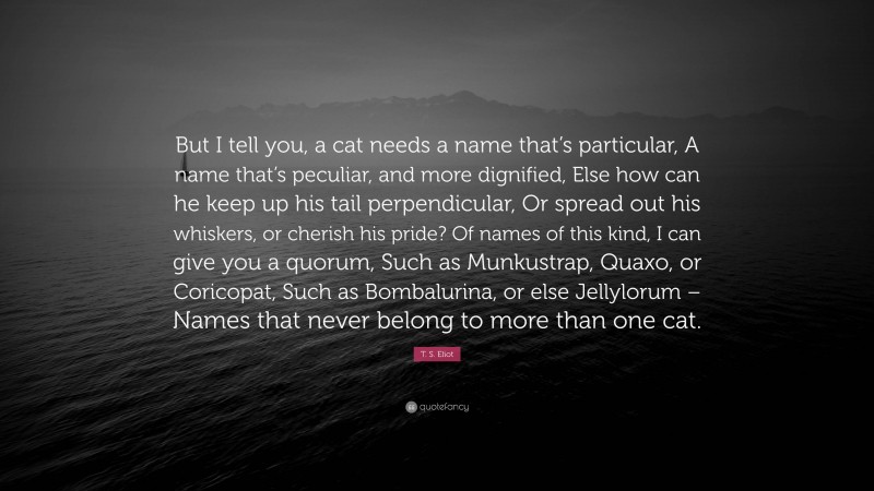 T. S. Eliot Quote: “But I tell you, a cat needs a name that’s particular, A name that’s peculiar, and more dignified, Else how can he keep up his tail perpendicular, Or spread out his whiskers, or cherish his pride? Of names of this kind, I can give you a quorum, Such as Munkustrap, Quaxo, or Coricopat, Such as Bombalurina, or else Jellylorum – Names that never belong to more than one cat.”
