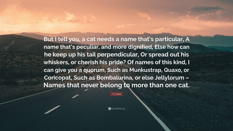 T. S. Eliot Quote: “But I tell you, a cat needs a name that’s particular, A name that’s peculiar, and more dignified, Else how can he keep up his tail perpendicular, Or spread out his whiskers, or cherish his pride? Of names of this kind, I can give you a quorum, Such as Munkustrap, Quaxo, or Coricopat, Such as Bombalurina, or else Jellylorum – Names that never belong to more than one cat.”
