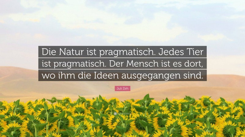 Juli Zeh Quote: “Die Natur ist pragmatisch. Jedes Tier ist pragmatisch. Der Mensch ist es dort, wo ihm die Ideen ausgegangen sind.”