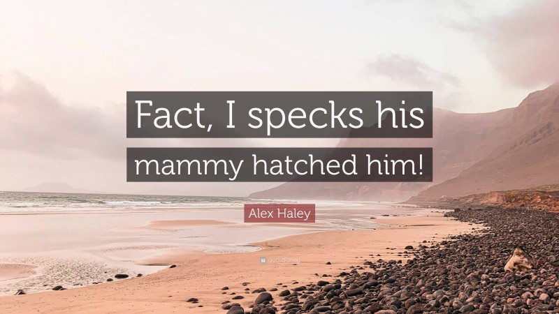 Alex Haley Quote: “Fact, I specks his mammy hatched him!”