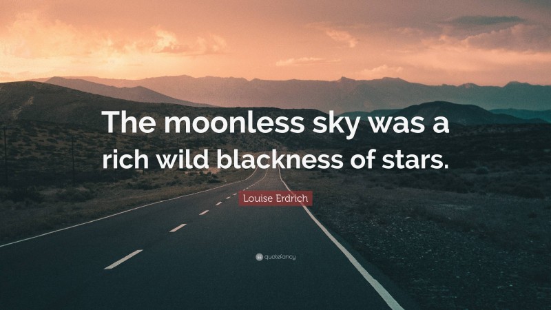 Louise Erdrich Quote: “The moonless sky was a rich wild blackness of stars.”