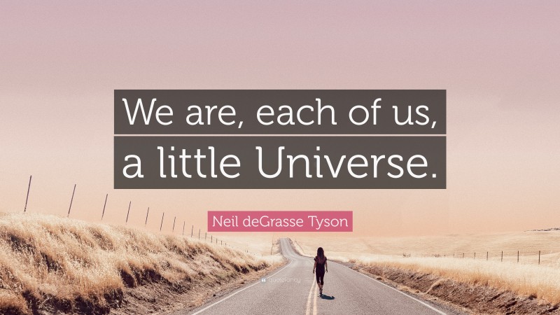 Neil deGrasse Tyson Quote: “We are, each of us, a little Universe.”