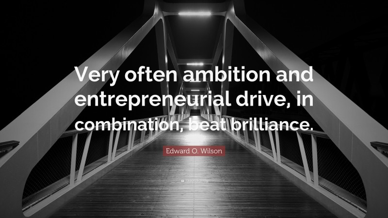 Edward O. Wilson Quote: “Very often ambition and entrepreneurial drive, in combination, beat brilliance.”