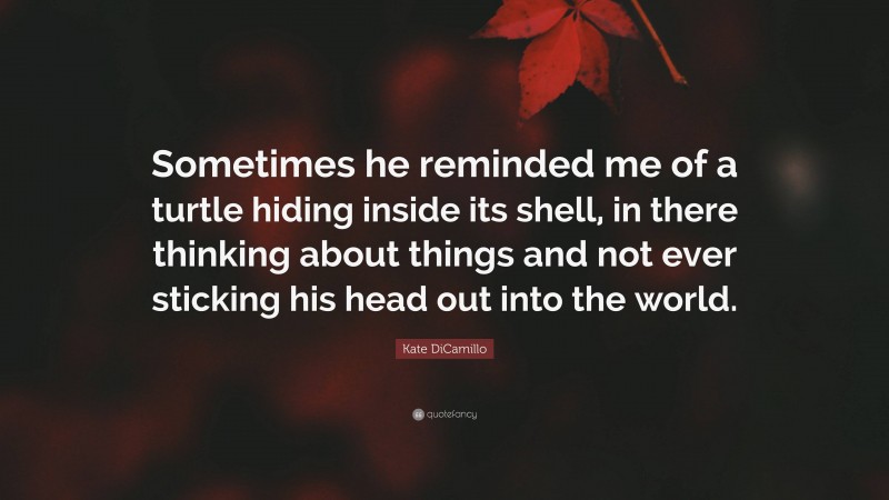 Kate DiCamillo Quote: “Sometimes he reminded me of a turtle hiding inside its shell, in there thinking about things and not ever sticking his head out into the world.”