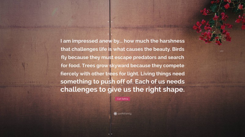 Carl Safina Quote: “I am impressed anew by... how much the harshness that challenges life is what causes the beauty. Birds fly because they must escape predators and search for food. Trees grow skyward because they compete fiercely with other trees for light. Living things need something to push off of. Each of us needs challenges to give us the right shape.”