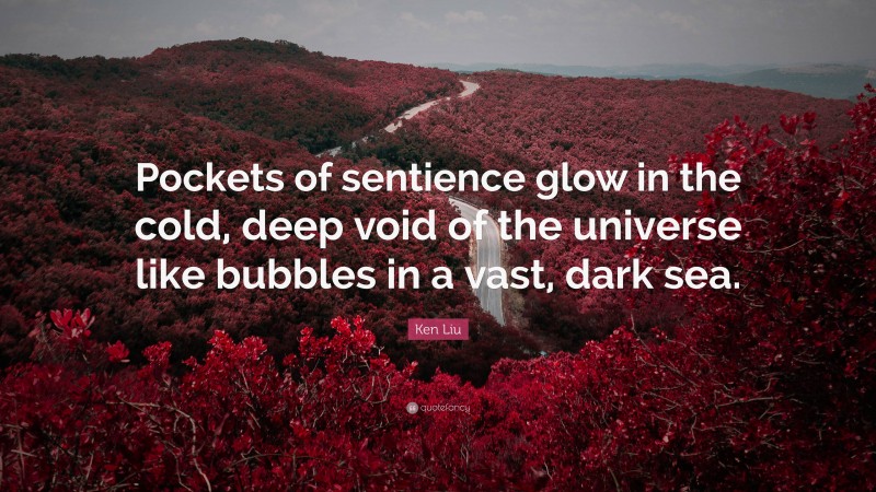 Ken Liu Quote: “Pockets of sentience glow in the cold, deep void of the universe like bubbles in a vast, dark sea.”