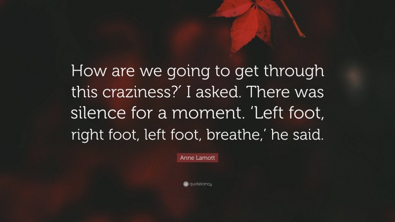 Anne Lamott Quote: “How are we going to get through this craziness?′ I asked. There was silence for a moment. ‘Left foot, right foot, left foot, breathe,’ he said.”