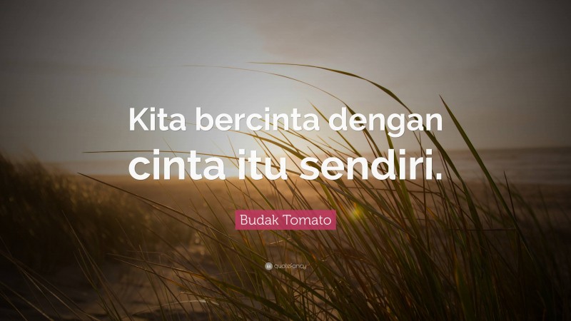 Budak Tomato Quote: “Kita bercinta dengan cinta itu sendiri.”