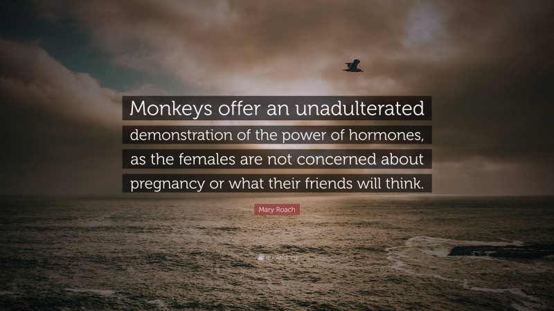 Mary Roach Quote: “Monkeys offer an unadulterated demonstration of the power of hormones, as the females are not concerned about pregnancy or what their friends will think.”