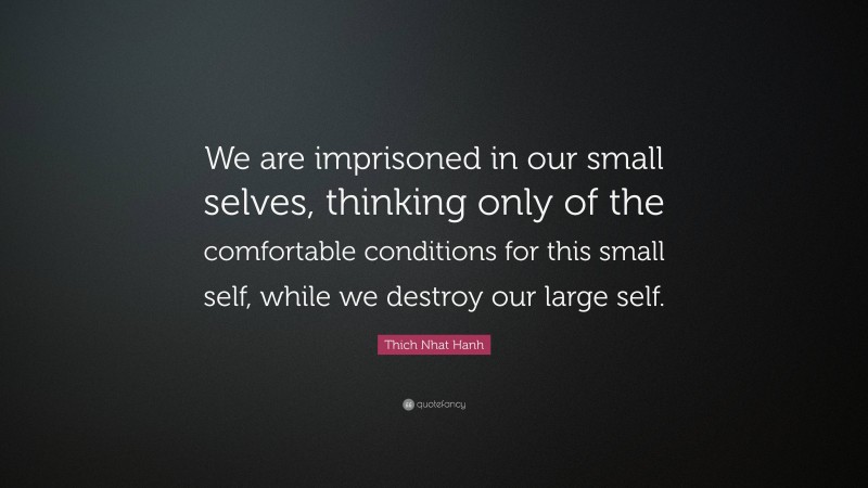 Thich Nhat Hanh Quote: “We are imprisoned in our small selves, thinking only of the comfortable conditions for this small self, while we destroy our large self.”