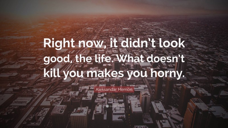 Aleksandar Hemon Quote: “Right now, it didn’t look good, the life. What doesn’t kill you makes you horny.”