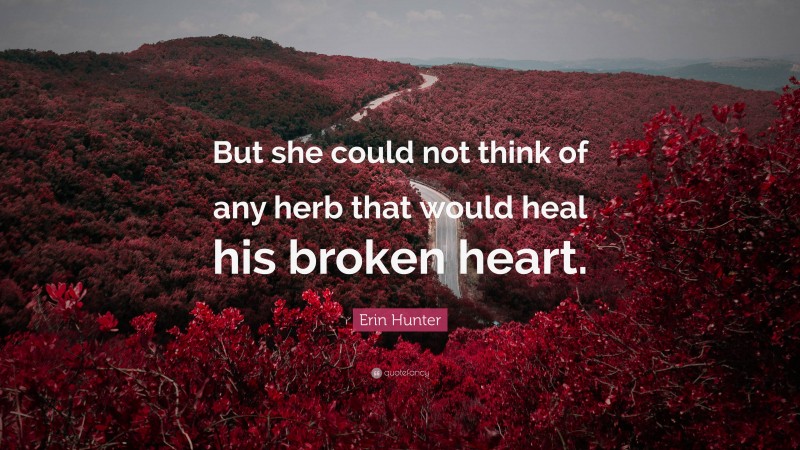 Erin Hunter Quote: “But she could not think of any herb that would heal his broken heart.”