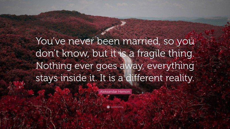 Aleksandar Hemon Quote: “You’ve never been married, so you don’t know, but it is a fragile thing. Nothing ever goes away, everything stays inside it. It is a different reality.”