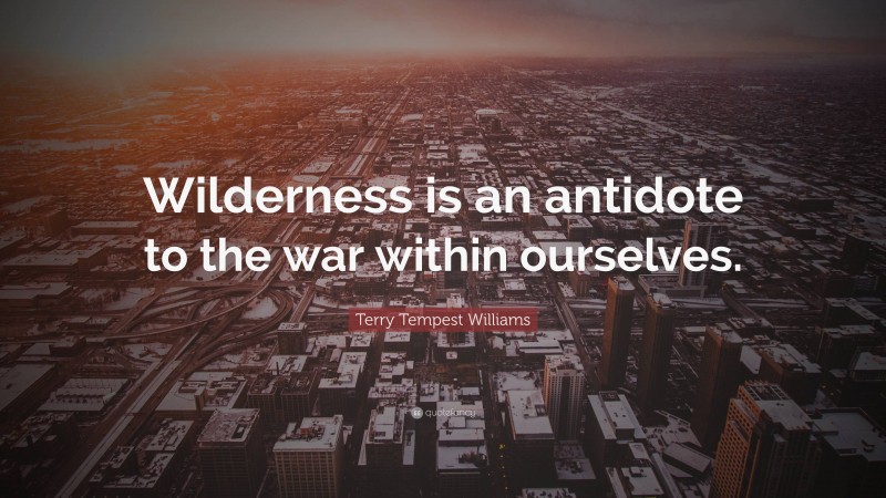 Terry Tempest Williams Quote: “Wilderness is an antidote to the war within ourselves.”