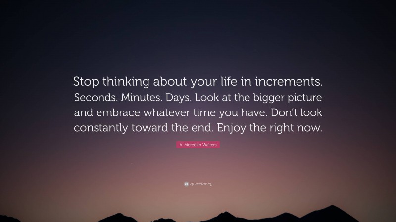 A. Meredith Walters Quote: “Stop thinking about your life in increments. Seconds. Minutes. Days. Look at the bigger picture and embrace whatever time you have. Don’t look constantly toward the end. Enjoy the right now.”