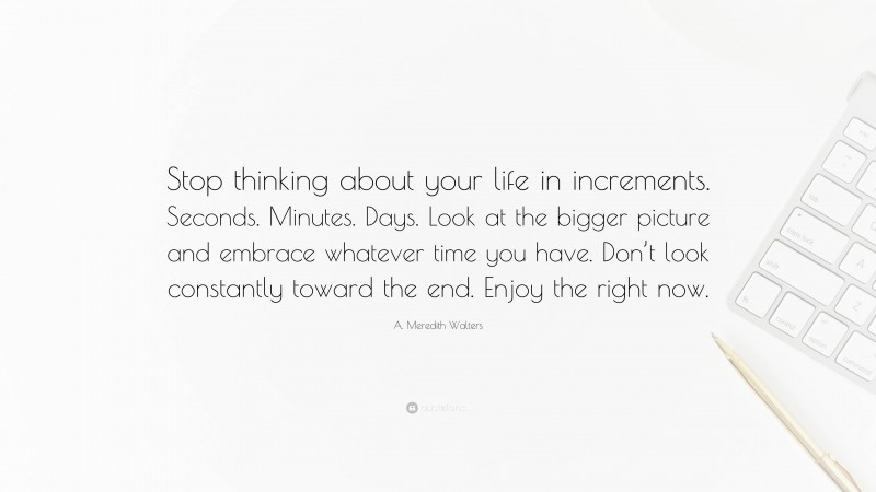 A. Meredith Walters Quote: “Stop thinking about your life in increments. Seconds. Minutes. Days. Look at the bigger picture and embrace whatever time you have. Don’t look constantly toward the end. Enjoy the right now.”