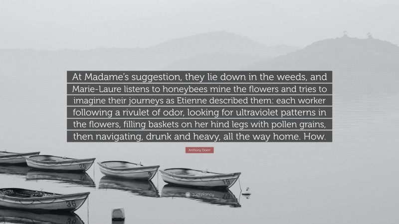 Anthony Doerr Quote: “At Madame’s suggestion, they lie down in the weeds, and Marie-Laure listens to honeybees mine the flowers and tries to imagine their journeys as Etienne described them: each worker following a rivulet of odor, looking for ultraviolet patterns in the flowers, filling baskets on her hind legs with pollen grains, then navigating, drunk and heavy, all the way home. How.”