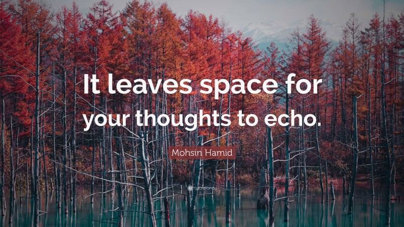 Mohsin Hamid Quote: “It leaves space for your thoughts to echo.”