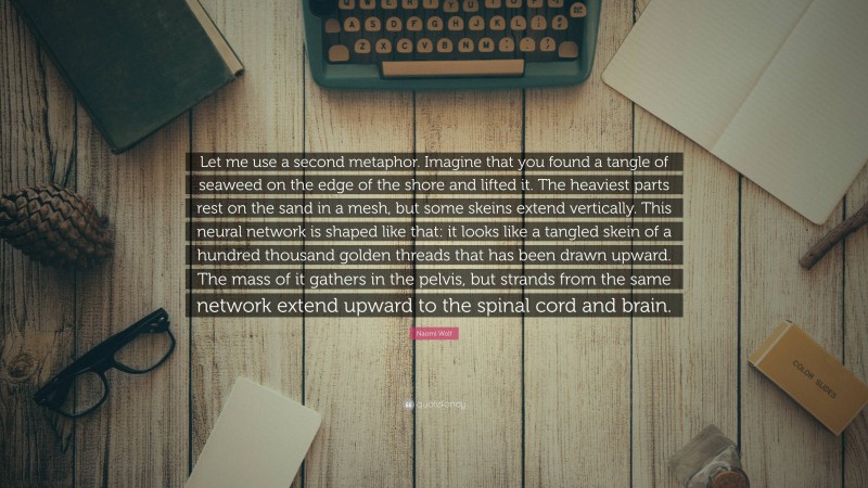 Naomi Wolf Quote: “Let me use a second metaphor. Imagine that you found a tangle of seaweed on the edge of the shore and lifted it. The heaviest parts rest on the sand in a mesh, but some skeins extend vertically. This neural network is shaped like that: it looks like a tangled skein of a hundred thousand golden threads that has been drawn upward. The mass of it gathers in the pelvis, but strands from the same network extend upward to the spinal cord and brain.”